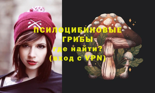 мяу мяу мука Покачи